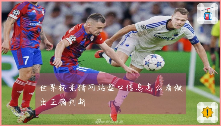 世界杯竞猜网站盘口信息怎么看做出正确判断