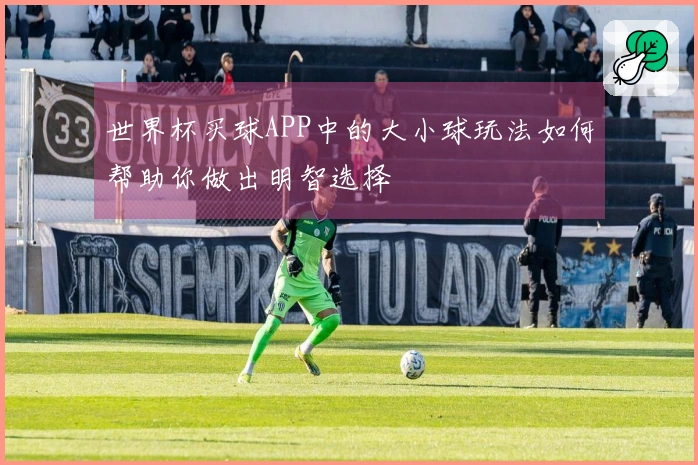 世界杯买球APP中的大小球玩法如何帮助你做出明智选择