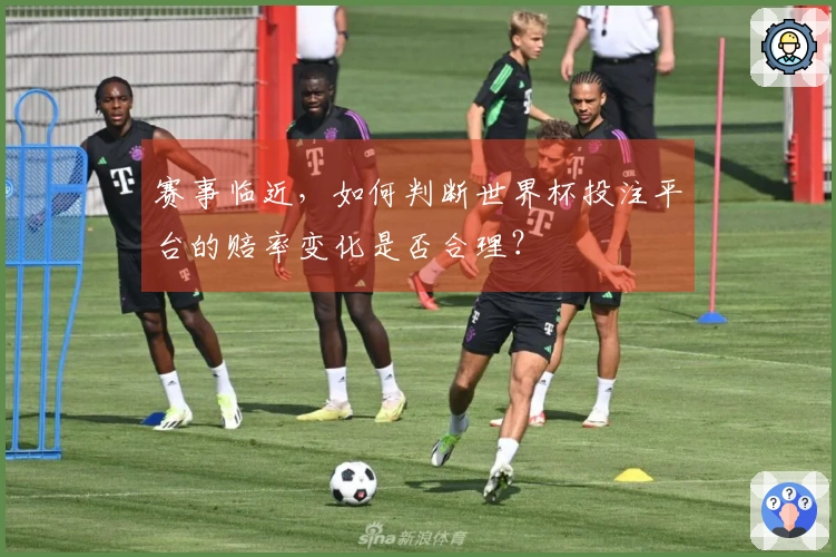 赛事临近，如何判断世界杯投注平台的赔率变化是否合理？