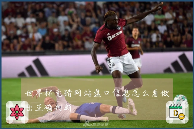 世界杯竞猜网站盘口信息怎么看做出正确判断