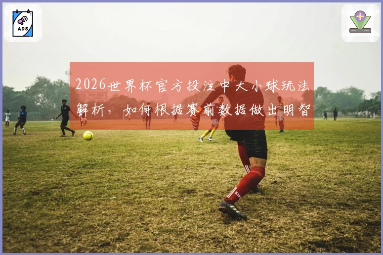 2026世界杯官方投注中大小球玩法解析，如何根据赛前数据做出明智选择