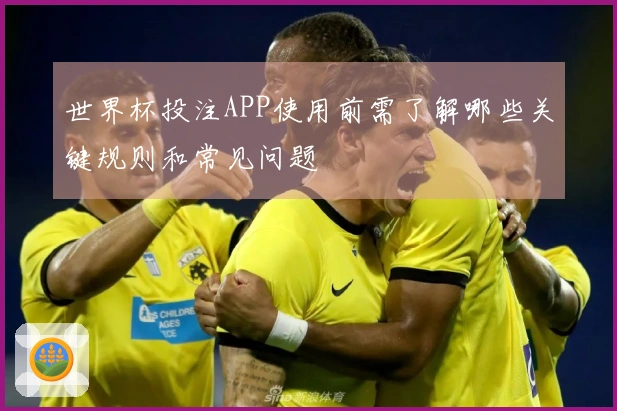 世界杯投注APP使用前需了解哪些关键规则和常见问题